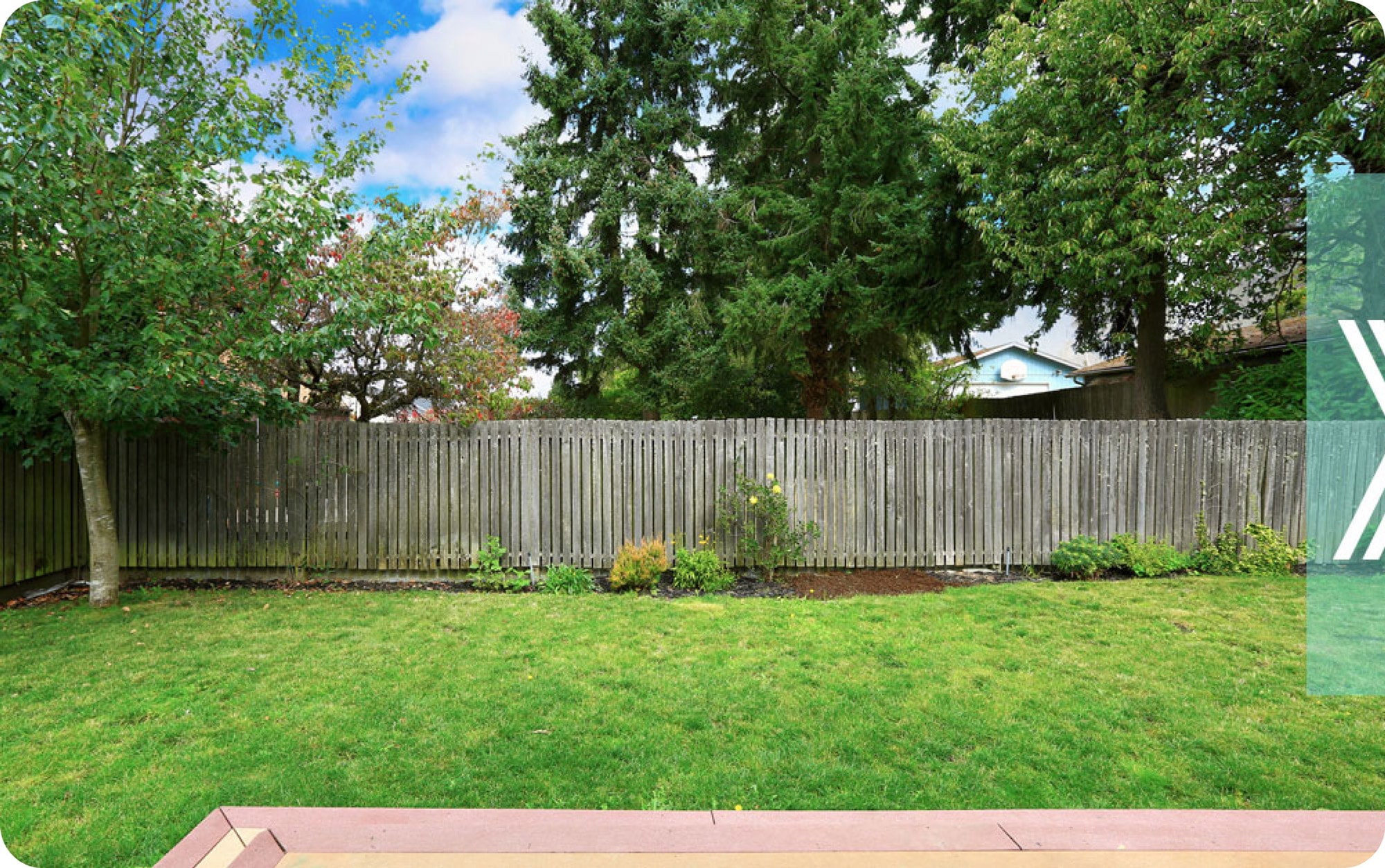Empty backyard